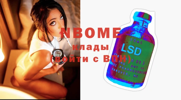 индика Осинники