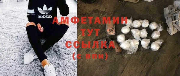 индика Осинники