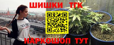 соль ск Партизанск