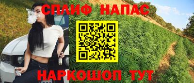 соль ск Партизанск