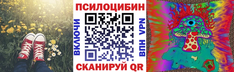 Галлюциногенные грибы ЛСД  ссылка на мегу зеркало  Сибай  магазин продажи  