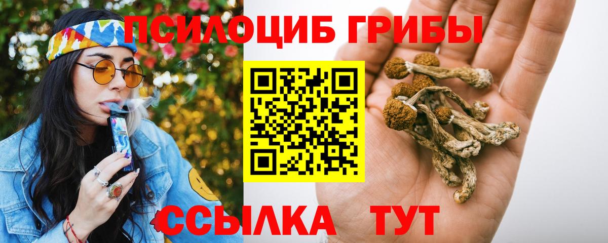 Псилоцибиновые грибы Psilocybine cubensis Сибай